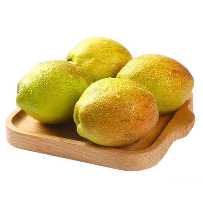 ОРГАНИЧЕСКАЯ ФЕРМА